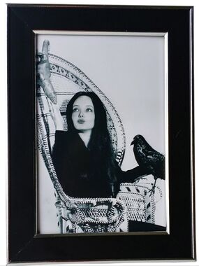 Addams Family Morticia Vintage Original Gothic Punk Rock Goth Emo Antiqu…